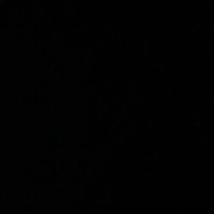 Meet your Posher, Ali